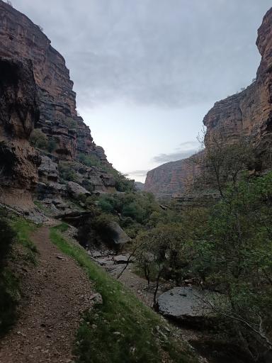 عکس تنگ شیرز