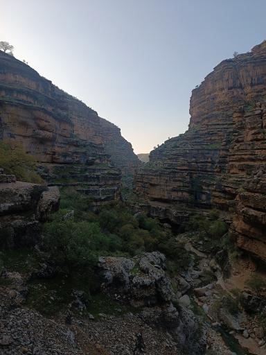 عکس تنگ شیرز