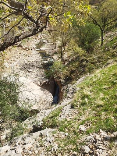 عکس تنگ شیرز