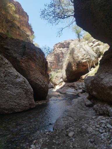 عکس تنگ شیرز