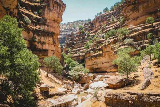 عکس تنگ شیرز