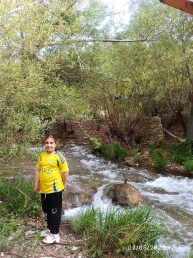 عکس تنگ شیرز