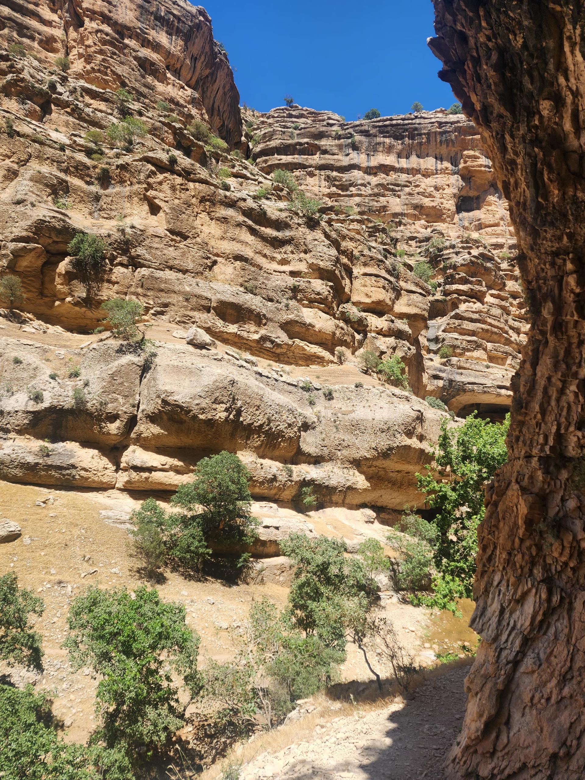 عکس تنگ شیرز