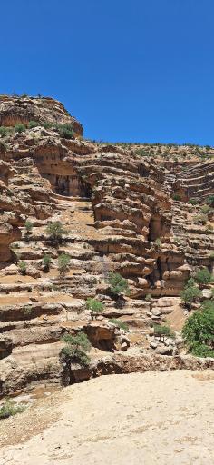 عکس تنگ شیرز