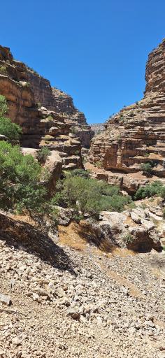 عکس تنگ شیرز