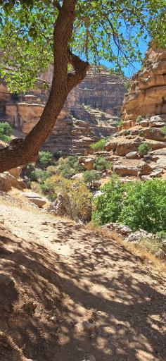 عکس تنگ شیرز