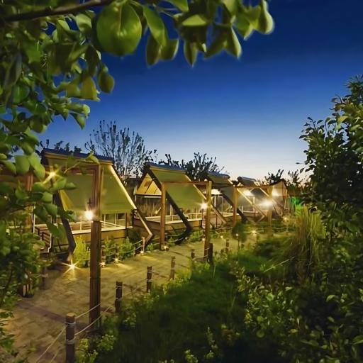 عکس شب‌نشینی شاندیز 