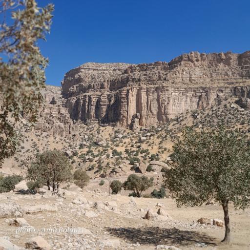 عکس تنگ شیرز