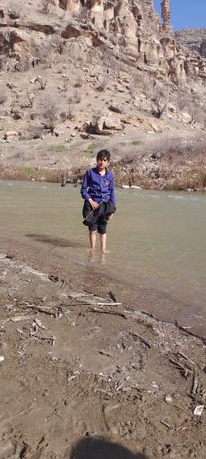 عکس تنگ شیرز