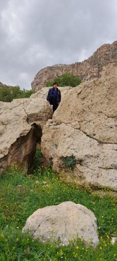 عکس تنگ شیرز