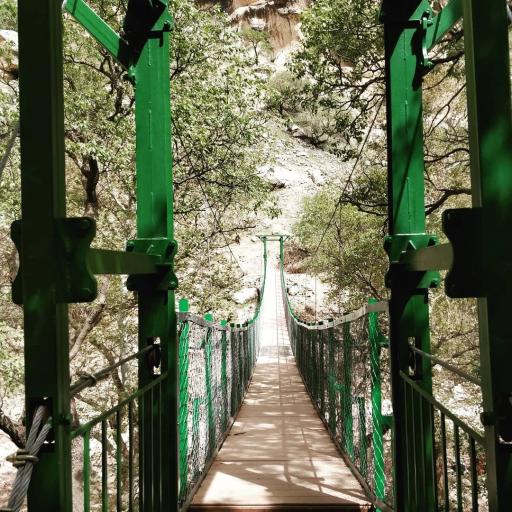 عکس تنگ شیرز