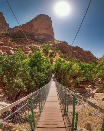 عکس تنگ شیرز