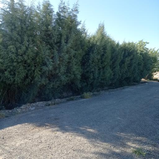 عکس باغ بهار