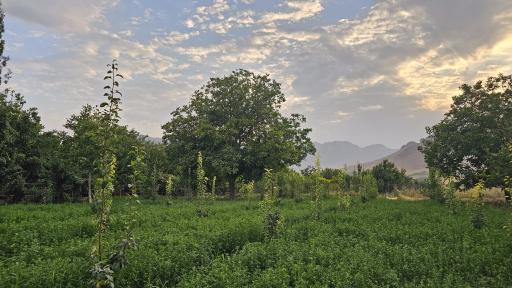 عکس خسبیجان