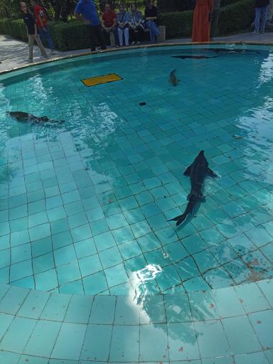 عکس موزه تاریخ و فرهنگ شمال ایران