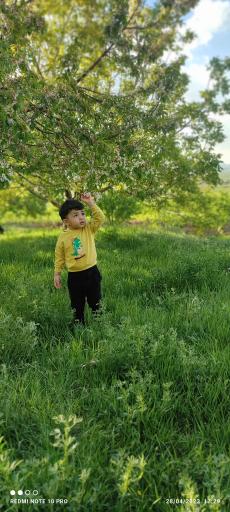 عکس خسبیجان