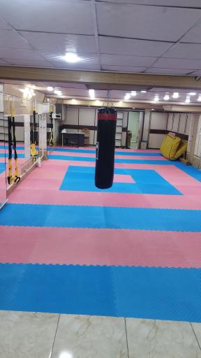 عکس باشگاه دریان نو