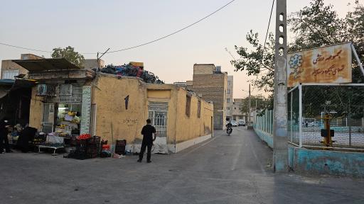 عکس میوه سرای سید