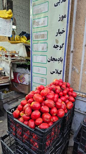 عکس میوه سرای سید