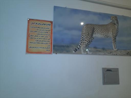 عکس موزه علوم طبيعي 