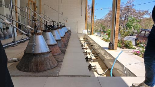 عکس گلاب طوبی