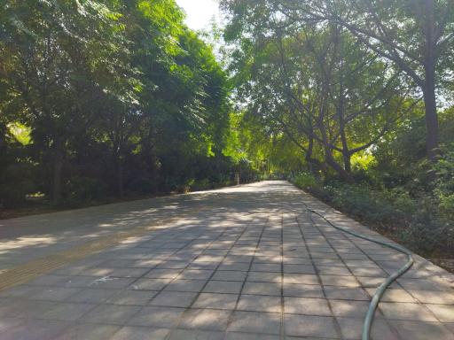 عکس بوستان کوثر