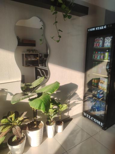 عکس کافه دوستان 