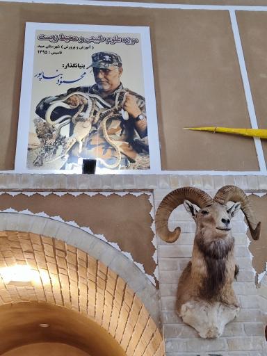 عکس موزه علوم طبيعي 