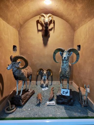 موزه علوم طبيعي 