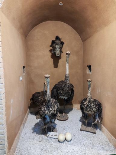 عکس موزه علوم طبيعي 