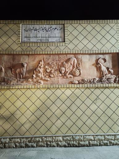 موزه علوم طبيعي 