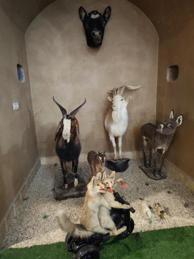 عکس موزه علوم طبيعي 