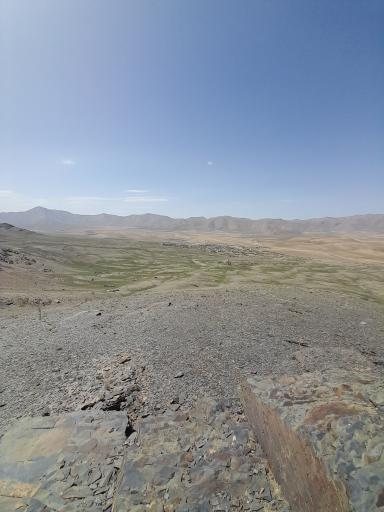 عکس کلاغ نشین