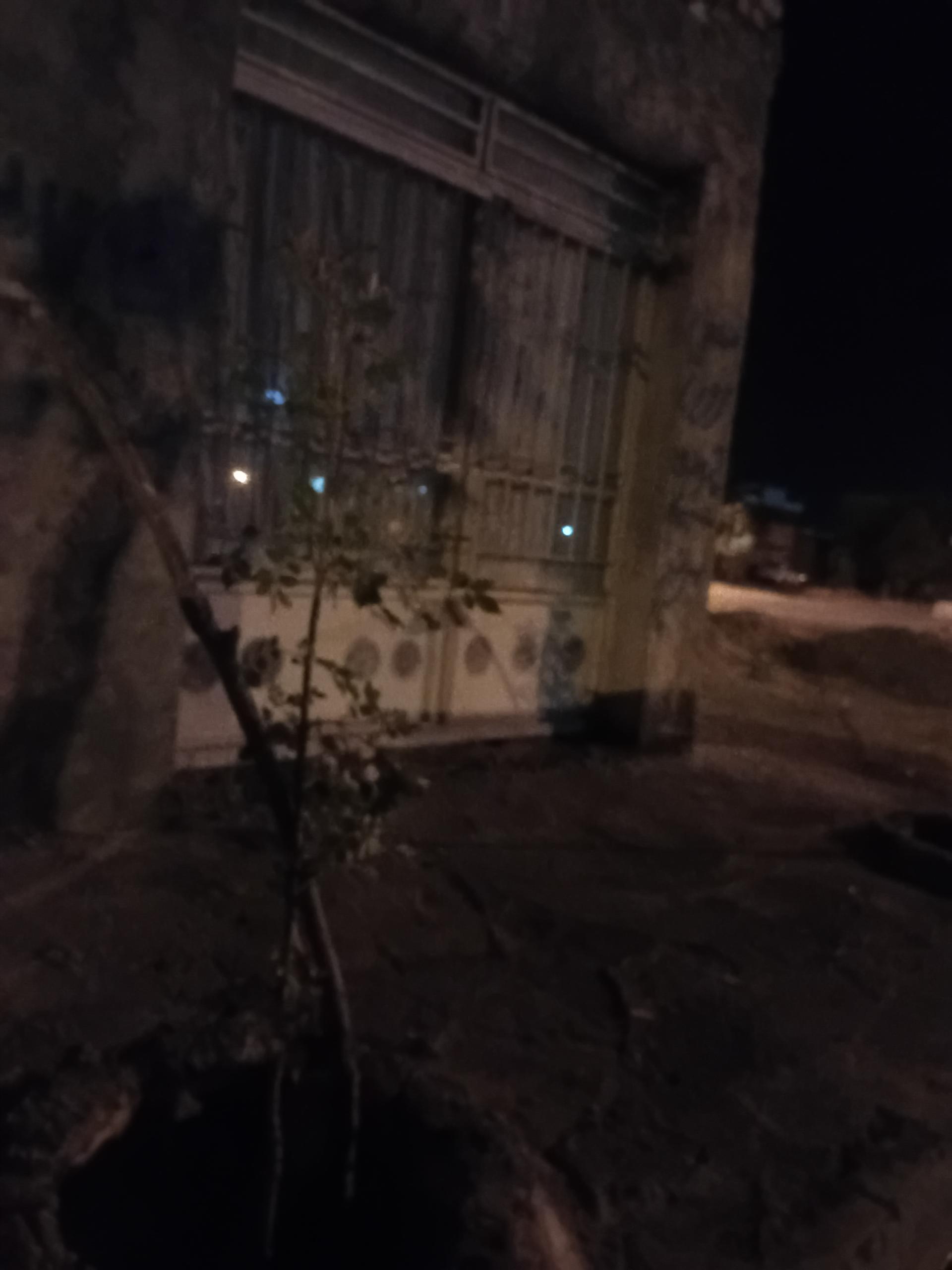 عکس سوپر میوه شورک