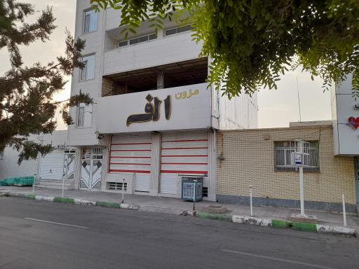 عکس مزون الف