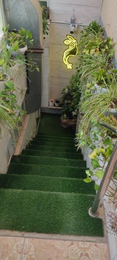 عکس سالن زیبایی بانو مرادی