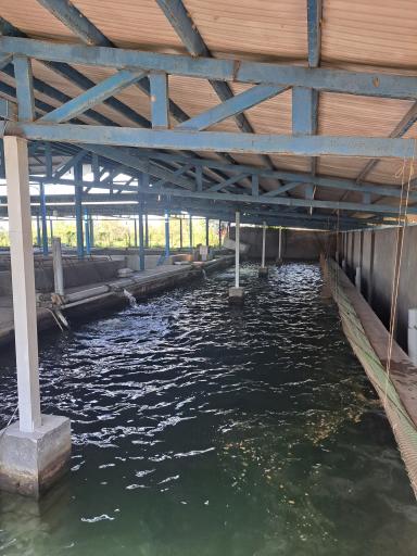 عکس مزرعه پرورش ماهیان خاویاری رستمی 