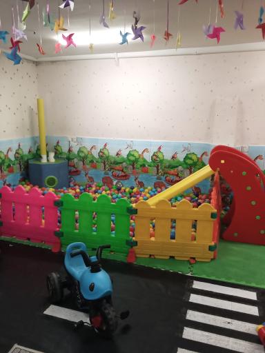 عکس خانه بازی فرفره 