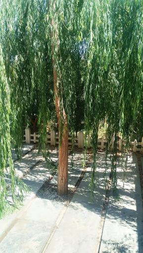 عکس بوستان کوثر