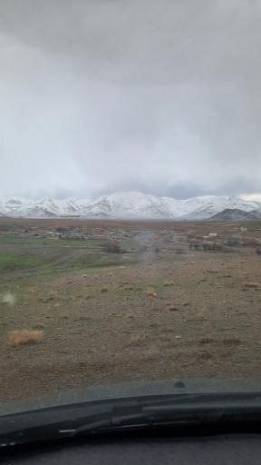 عکس کلاغ نشین