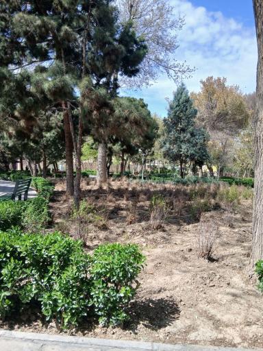 عکس پارک ظافر