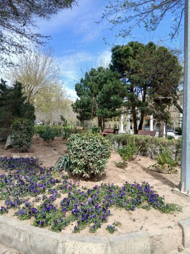 عکس پارک ظافر