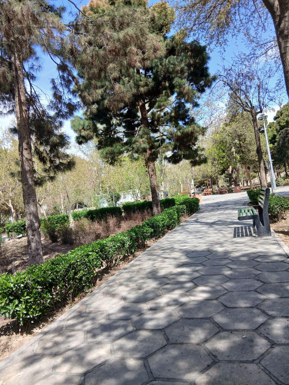 عکس پارک ظافر