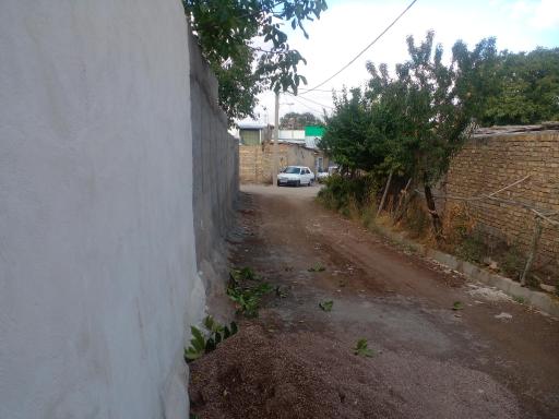 عکس خروس دره