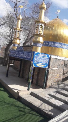 عکس خروس دره