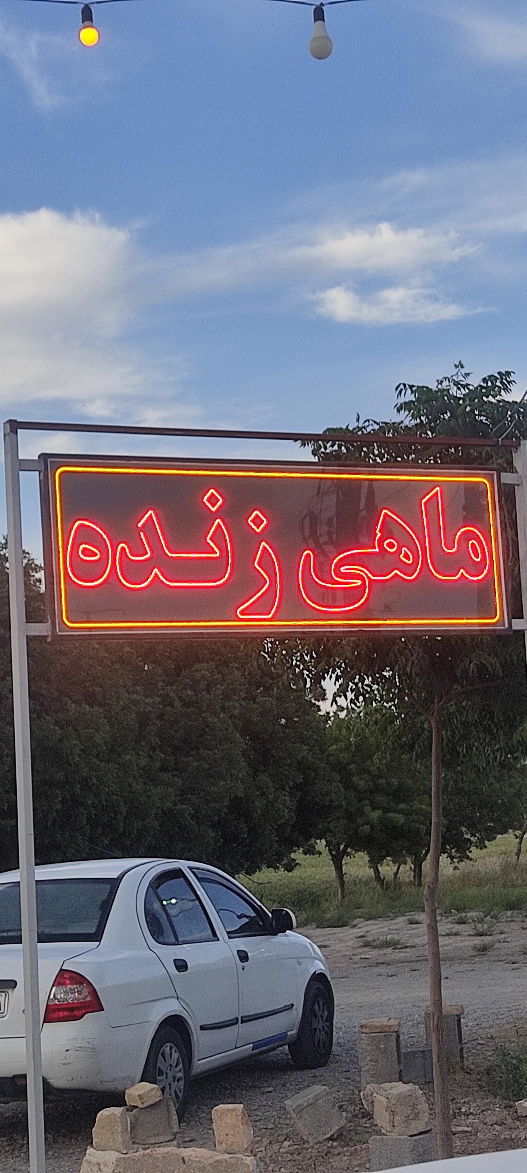 عکس ماهی زنده قزل‌آلا سالمون