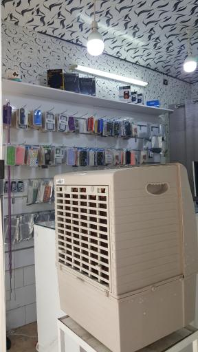 عکس موبایل فلورانس