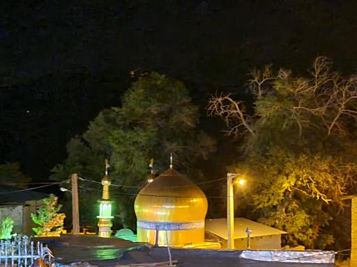عکس خروس دره