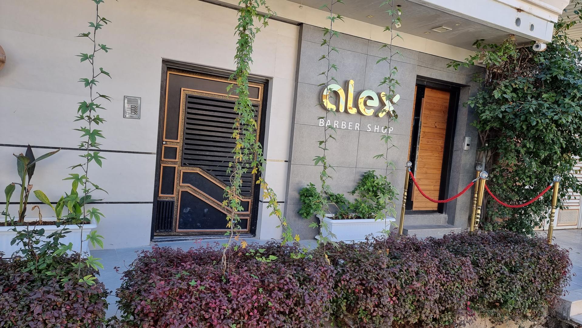 عکس داماد سرای الکس