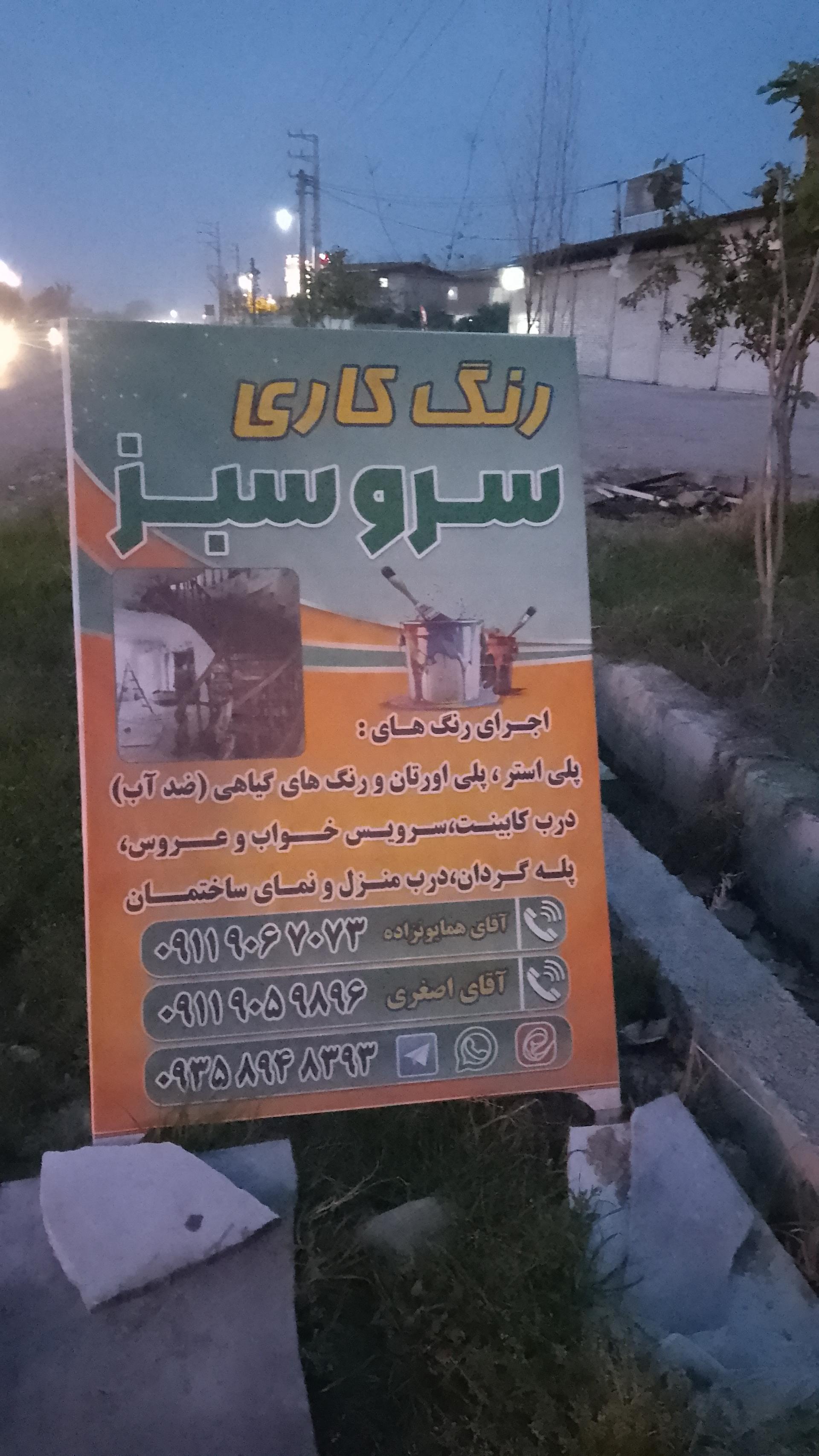 عکس رنگ کاری سرو سبز